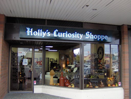 hollys curiosity shoppe 3d letters acrylic sign